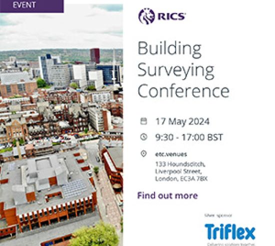Triflex RICS news story image
