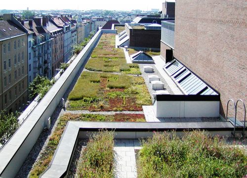 Green roof