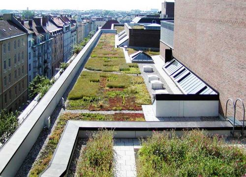 Green roof