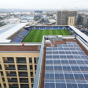 Sustainability at Triflex green roof image