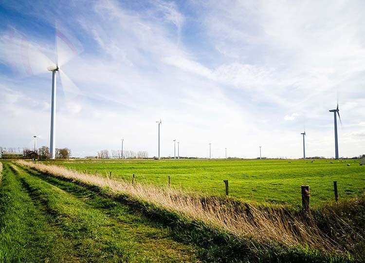 News-Towersafe-image-wind-energy
