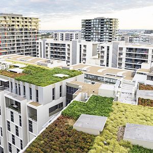 Triflex-blog-5 Sustainable considerations for flat roof refurbishment-Enhancing durability and efficiency-green-roof