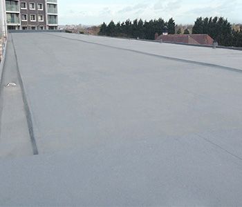 Triflex flat roof waterproofing image