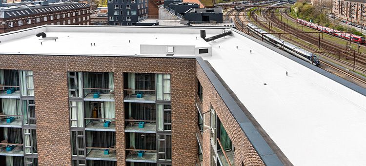 Triflex roof problems blog liquid solutions